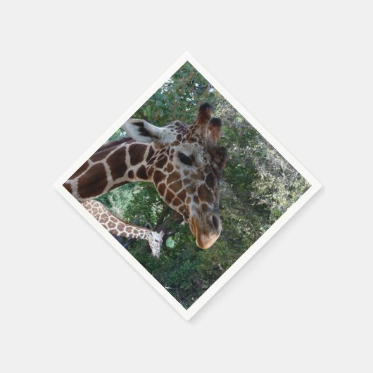 キレ実在フフォト紙ナプキンス スタンダードカクテルナプキン (角)