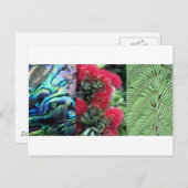 キワナハナギョウポウツカワ ポストカード (正面/裏面)