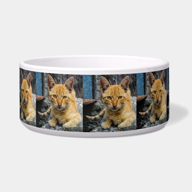 キンアイの碗 ボウル (左)