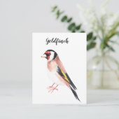 キンイロヒワの水彩画。素敵なカードです ポストカード (スタンド正面)