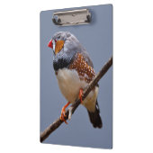 キンカチョウのクリップボード クリップボード (左)