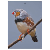 キンカチョウのクリップボード クリップボード (裏面)