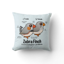 キンカチョウの統計量