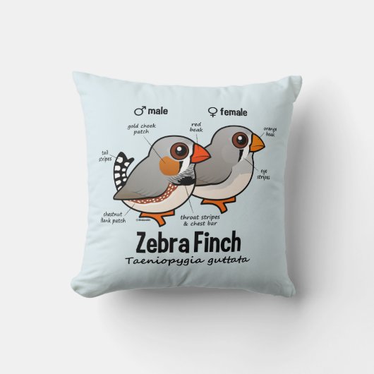 キンカチョウの統計量 クッション (正面)