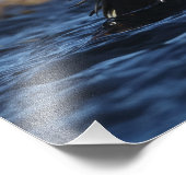 キングアイダー鳥 フォトプリント            (角)