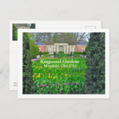 キングウッド園の紫と黄色のチューリップ庭園 ポストカード (正面/裏面)