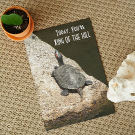 キングオブヒル カメ 岩 自然 誕生日 カード