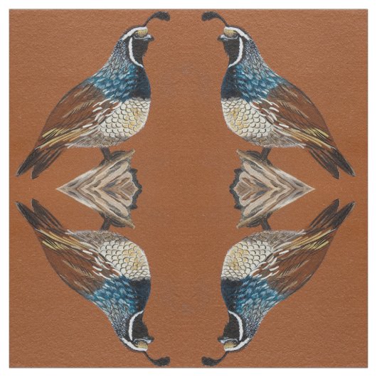 キングクワイル ファブリック (見本)