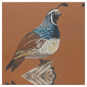 キングクワイル ファブリック (クローズアップ)