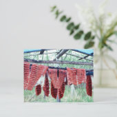 キングサーモンがラックで乾く ポストカード (スタンド正面)