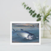 キングサーモン葉書 ポストカード (スタンド正面)