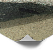 キングスキャニオンへのアプローチ ポスター (角)