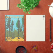 キングスキャニオンナショナルパークゼネラルグラントヴィンテージ ポストカード