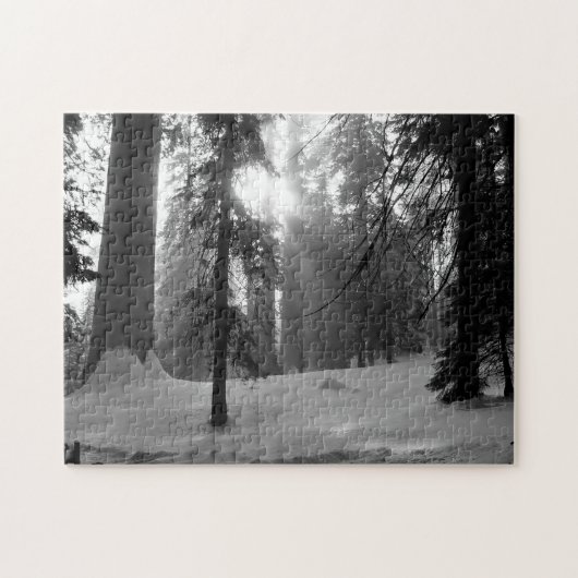 キングスキャニオン国立公園の冬の雪 ジグソーパズル (横)