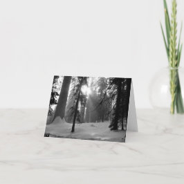 キングスキャニオン国立公園の冬の雪 ノートカード