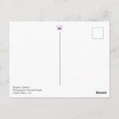 キングストン - オンタリオ - 夕焼け - 旅行 ポストカード (裏面)