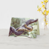 キングスネークカード カード (黄色い花)