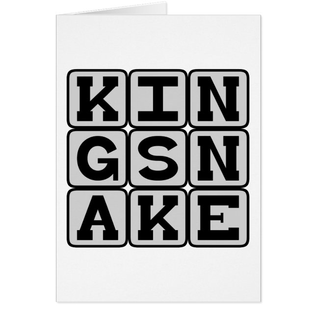 キングスネーク、這う爬虫類 (正面)