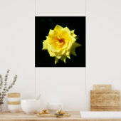 キングスランサム、ハイブリッドティーバラ ポスター (キッチン)