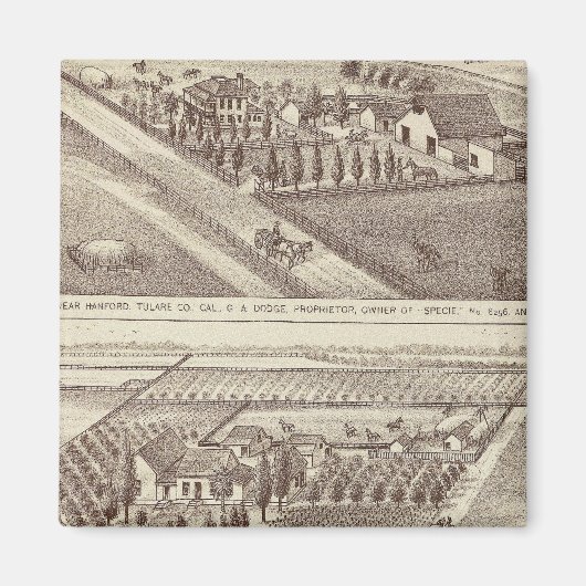 キングスCoランキング マグネット (正面)