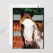 キングズ・ガファンシーール ポストカード (正面/裏面)