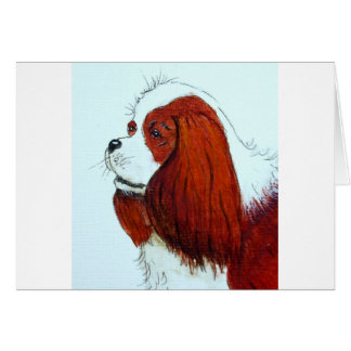 キングチャールズカバリエスパニエル犬