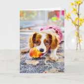 キングチャールズカヴァリエパピー空白のグリーティングカード カード (黄色い花)