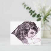 キングチャールズキャバリエスパニエル犬はがき ポストカード (スタンド正面)