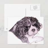 キングチャールズキャバリエスパニエル犬はがき ポストカード (正面/裏面)