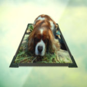 キングチャールズキャバリエスパニエル犬ウインドウズルッキング ウィンドウサイン (シート3)