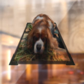 キングチャールズキャバリエスパニエル犬ウインドウズルッキング ウィンドウサイン (シート2)