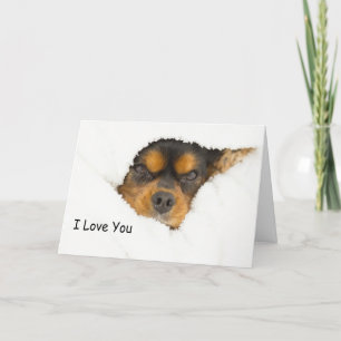 キングチャールズスパニエルが顔をのぞかせてます "I Love You" カード
