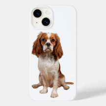 キングチャールズ・カバリエとアップルiPhone 14ケース