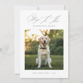 キングドッグ生まれたばかりの写真クリスマスの栄光 シーズンカード (正面)