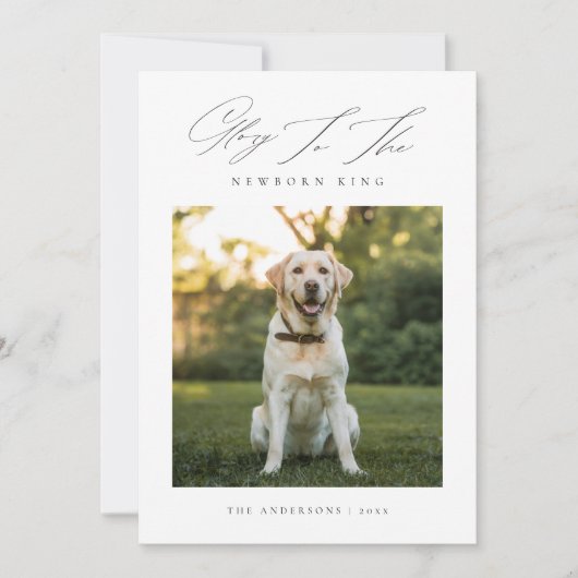 キングドッグ生まれたばかりの写真クリスマスの栄光 シーズンカード (正面)