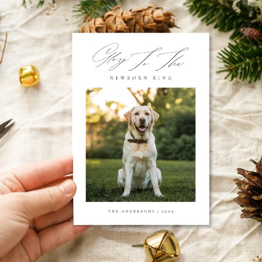 キングドッグ生まれたばかりの写真クリスマスの栄光 シーズンカード