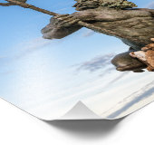 キングネプチューン フォトプリント            (角)