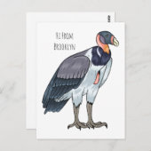 キングハゲワシの鳥の漫画イラストレーション ポストカード (正面/裏面)