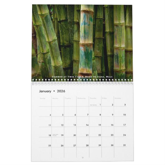 キングファインアート撮影 カレンダー (1月 2026)