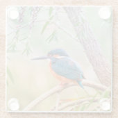 キングフィッシャーオンブランチ ガラスコースター (裏面)