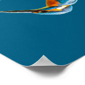 キングフィッシャーサークル ポスター (角)