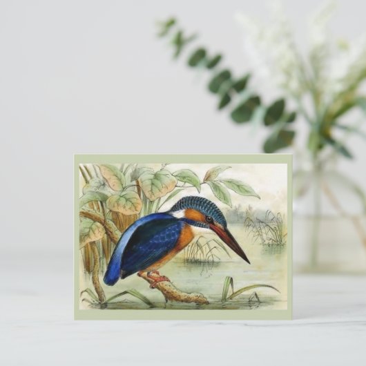 キングフィッシャーヴィンテージバードイラストレーション ポストカード (スタンド正面)