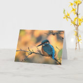 キングフィッシャー写真。 カード (黄色い花)