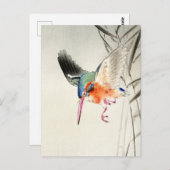 キングフィッシャー狩り（拡大） – 大原小村 –  ポストカード (正面/裏面)