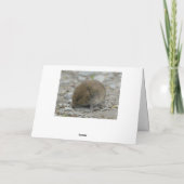 キングフィッシャー魚釣りオンリード カード (裏面)