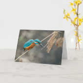 キングフィッシャー魚釣りオンリード カード (黄色い花)