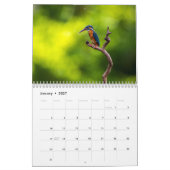 キングフィッシャー2025 カレンダー (1月 2027)