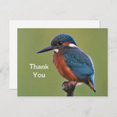 キングフィッシャー 感謝の気持ちを伝えるポストカード ポストカード (正面/裏面)