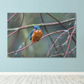 キングフィッシャーv2 キャンバスプリント (インサイチュ (ウッドフロア))