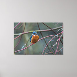 キングフィッシャーv2 キャンバスプリント